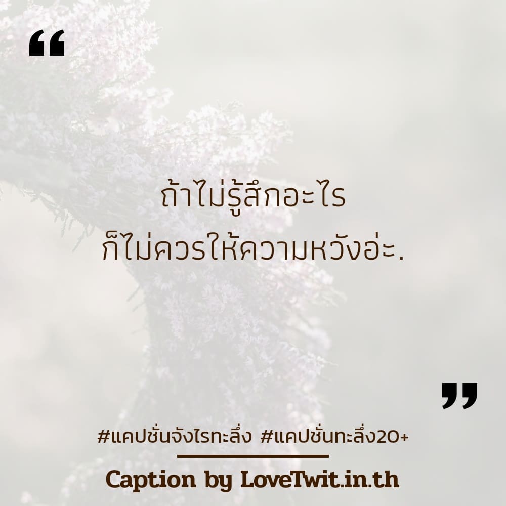 🔍 คำคมคําคมจังไรฮาๆๆ