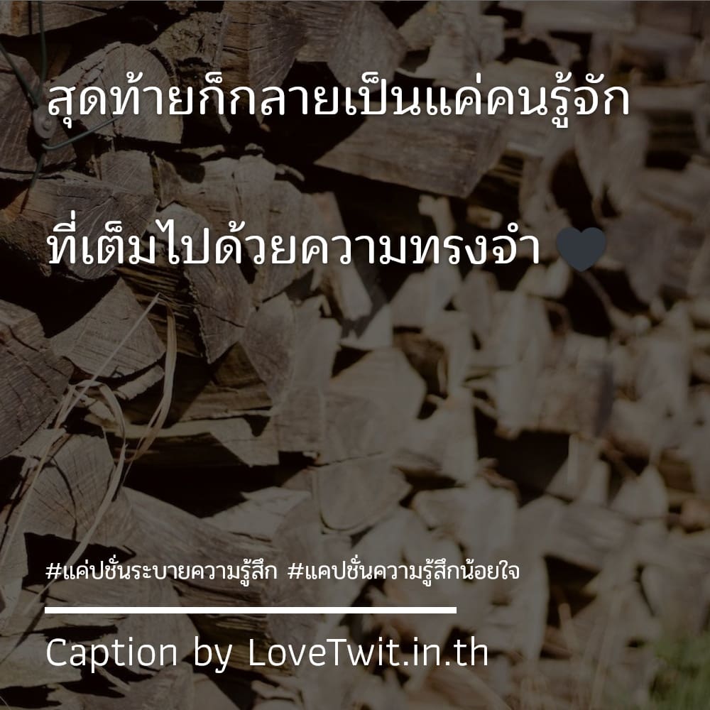 🆒 คำคมแค่ปชั่น.ซ่อนความรู้สึก จาก Line