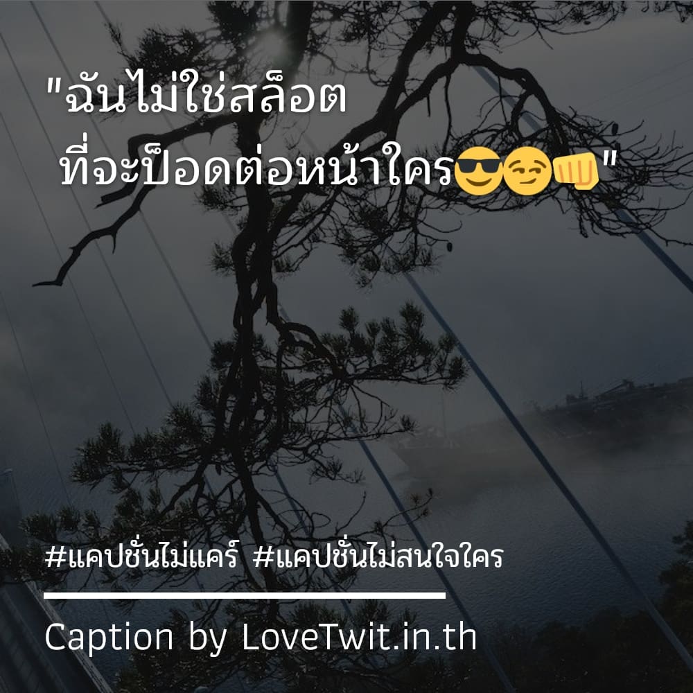 🏧 แคปชั่นไม่สนใจใคร จากชาว Line