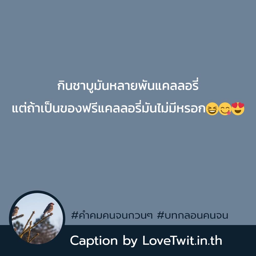 😸 คำคมคนจนกวนๆ ต้องแชร์แน่นอน