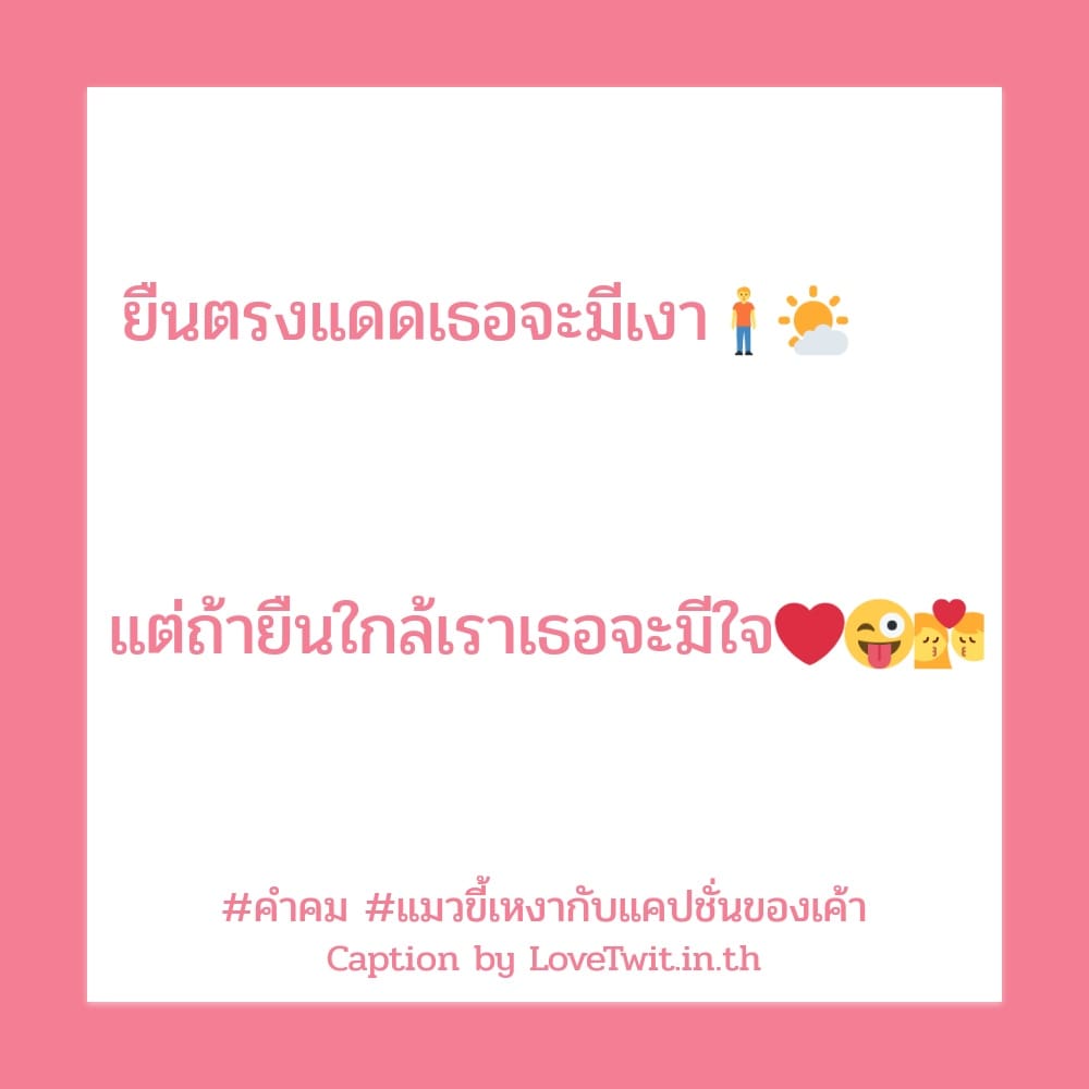 🎦 แคปชั่น แมวขี้เหงากับแคปชั่นของเค้า