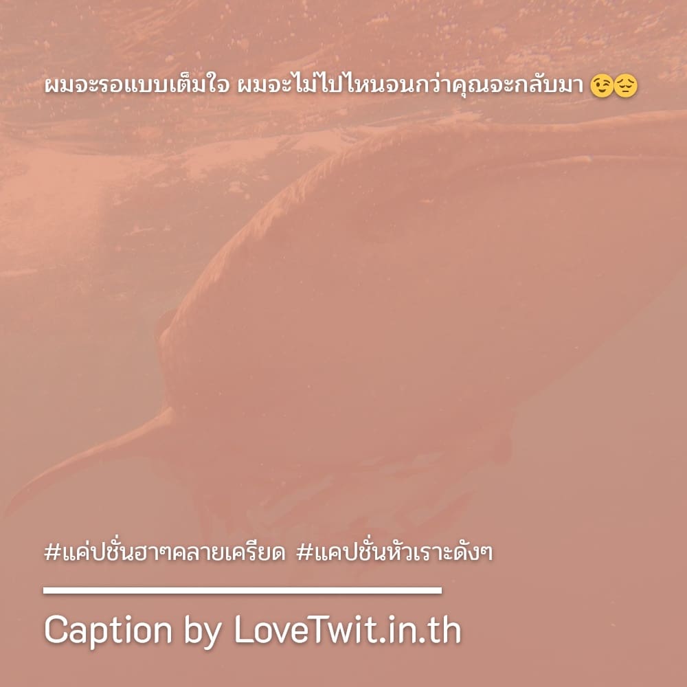 🔠 แคปชั่นแค่ปชั่นฮาๆคลายเครียด แคปชั่นสายฮา จาก Facebook ลองอ่านดู