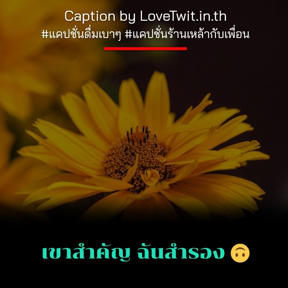 🕢 แคปชั่นยกแก้ว แคปชั่นในวงเหล้า