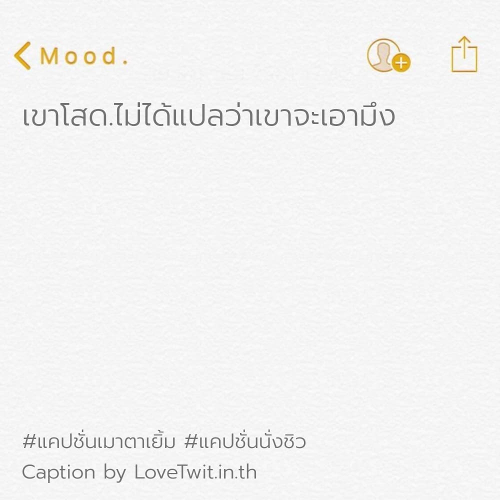 📺 คำคมในวงสุรา