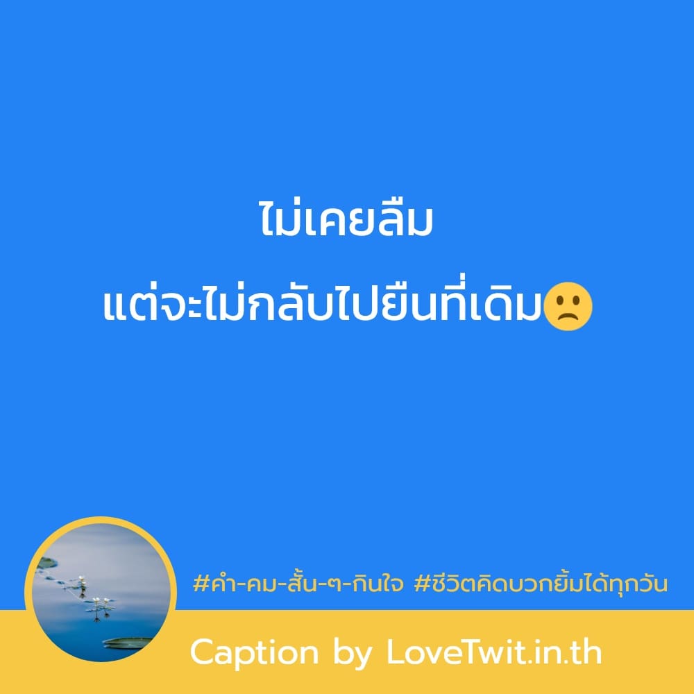 🌄 คำคมชีวิตฮาๆ คำคมชีวิต จากชาว Pinterest