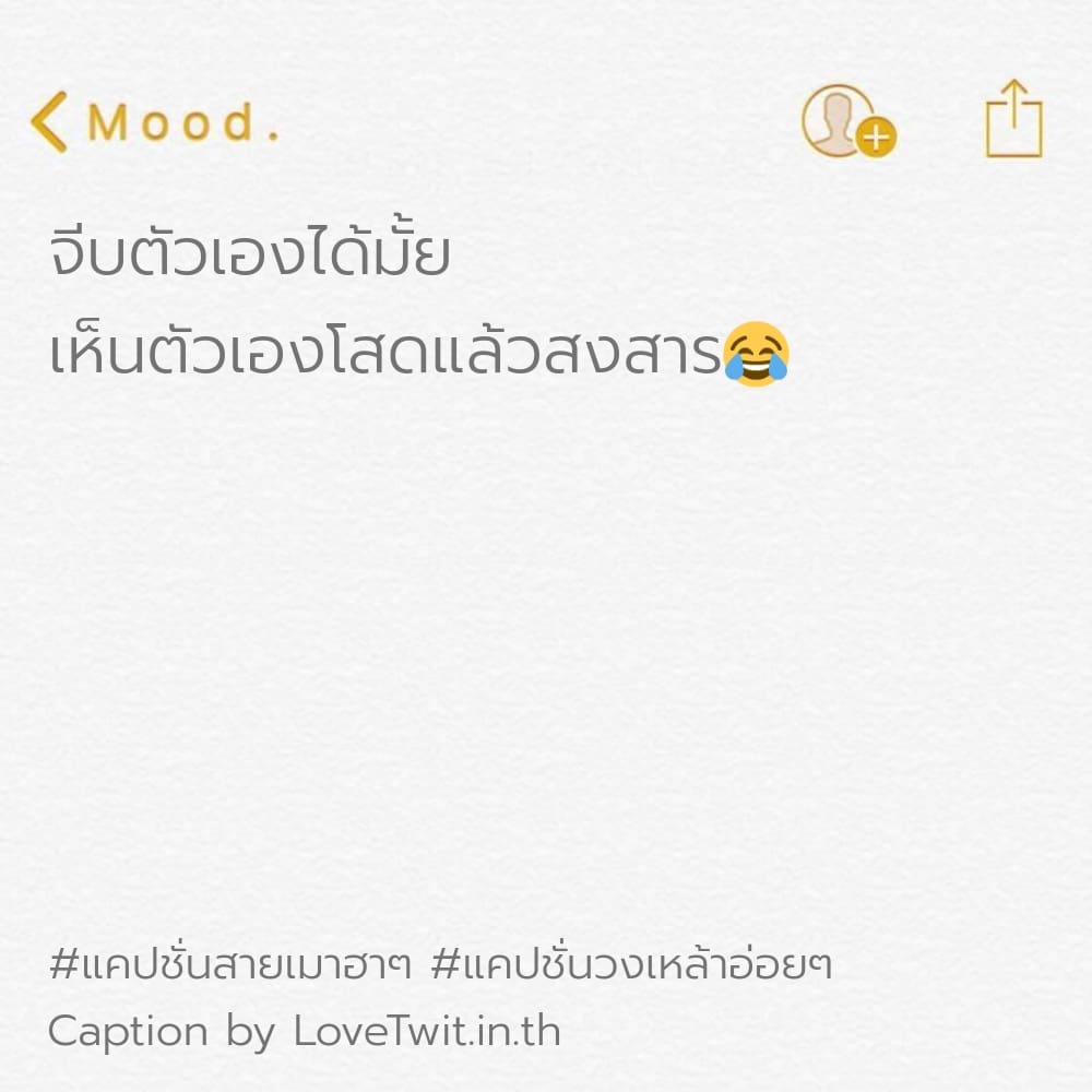 🕢 แคปชั่นยกแก้ว แคปชั่นในวงเหล้า