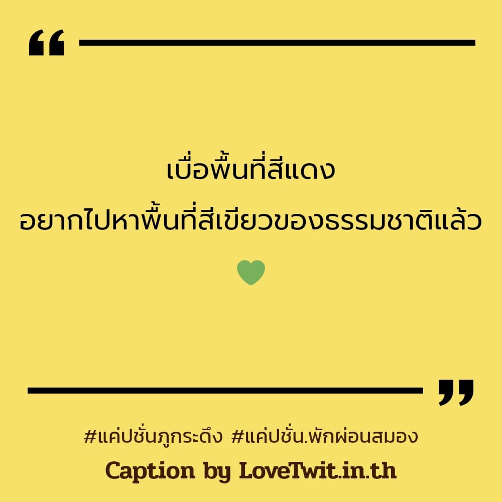 📉 แคปชั่นแค่ปชั่น.พักผ่อนสมอง