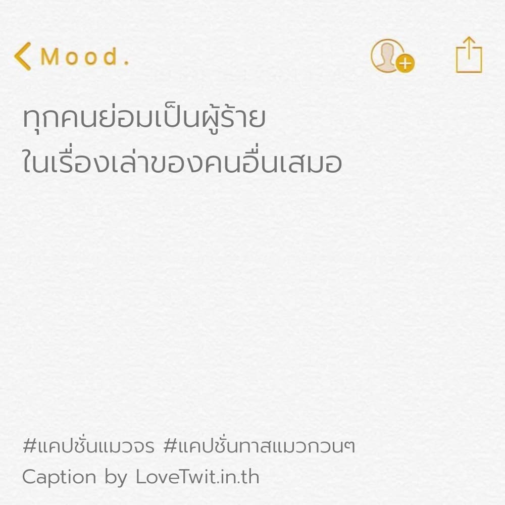 🐂 สเตตัสแค่ปชั่นแมว2565 ไม่โพสต์มันอยู่ไม่ได้