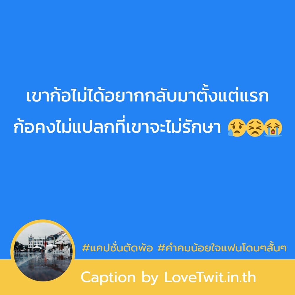 🔬 แคปชั่นแฟนไม่สนใจ จากชาวแฟนเพจ