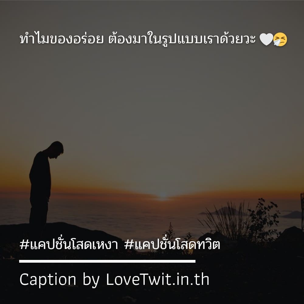 💯 แคปชั่นโสดเหงา มาดูกันเลย