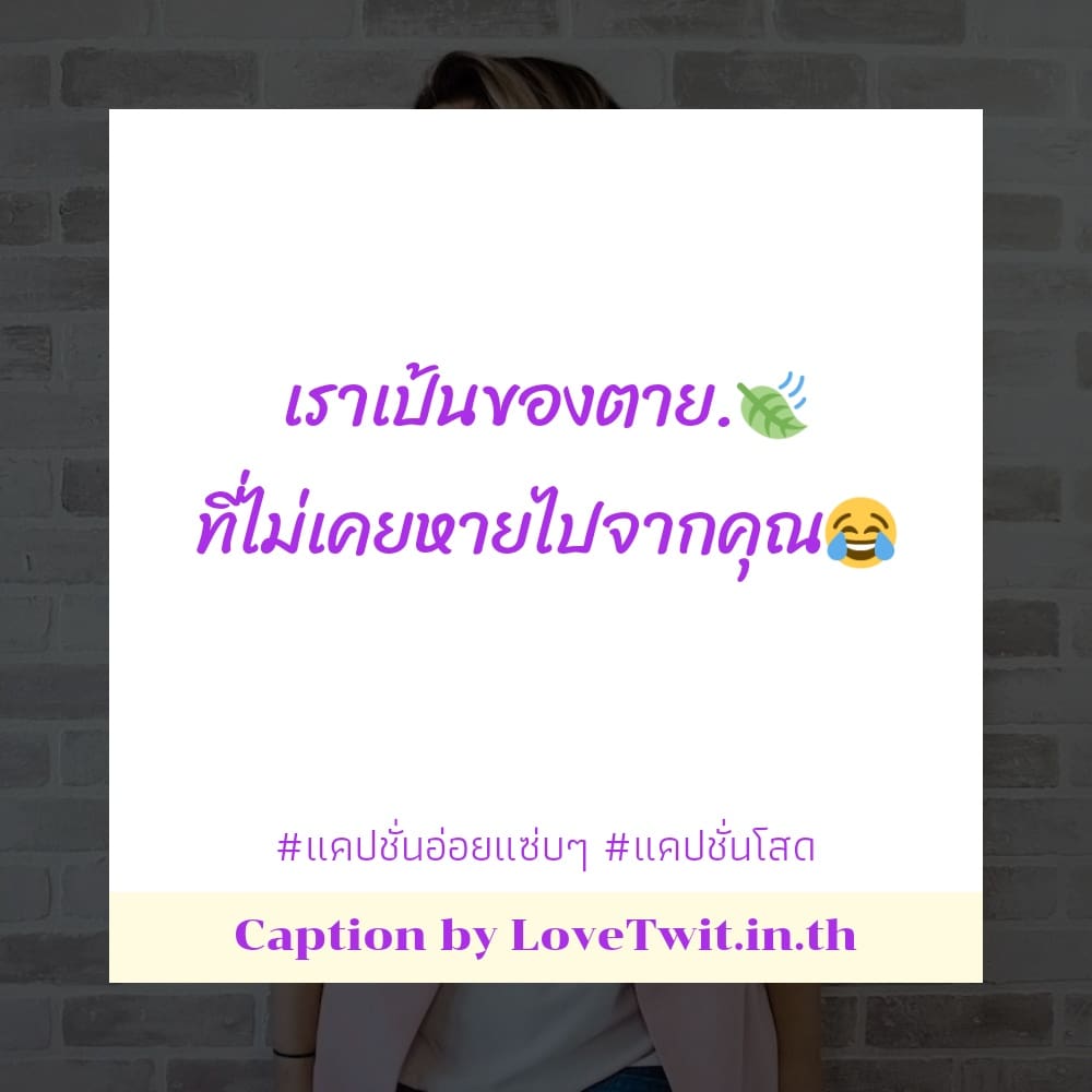 💯 แคปชั่นโสดเหงา มาดูกันเลย