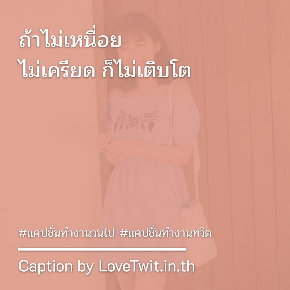 🎯 แคปชั่นทํางานทวิต