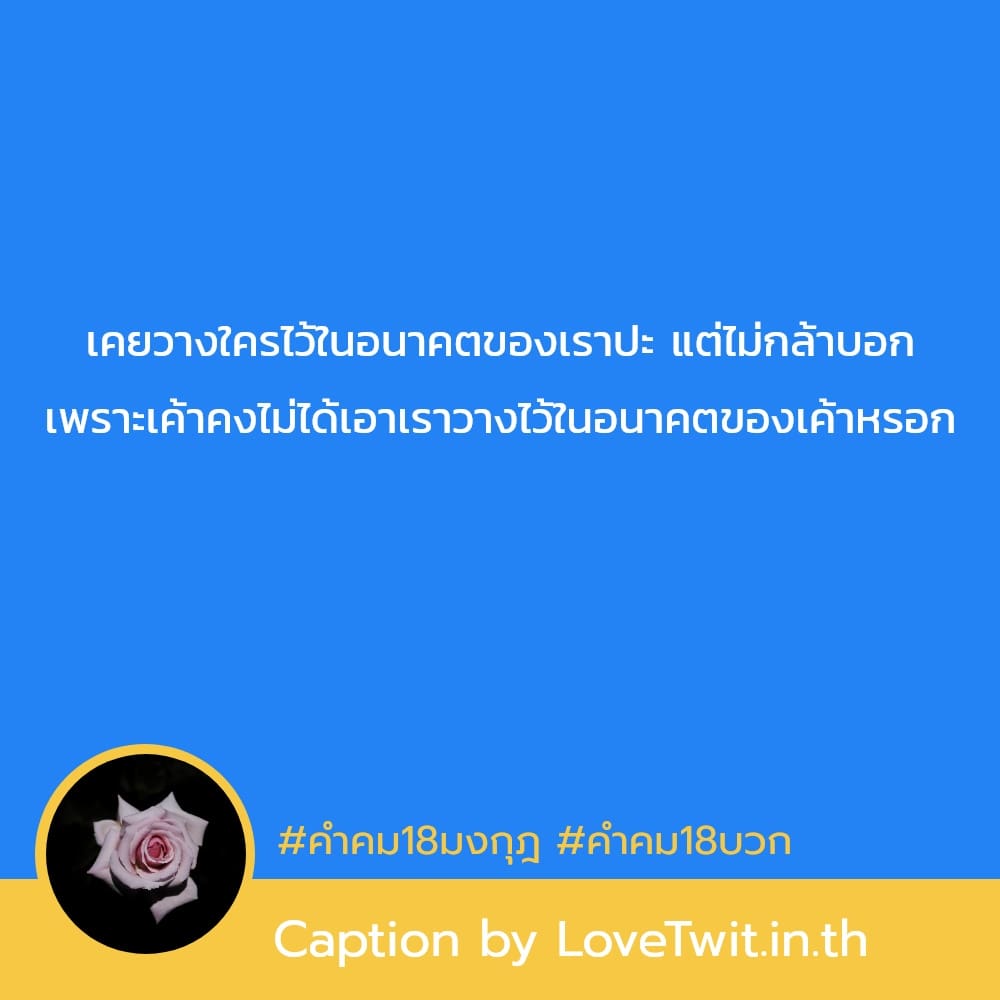 👂 คำคม182023 คำคมคําคมความรักกวนๆฮาๆ เข้ามาเลย