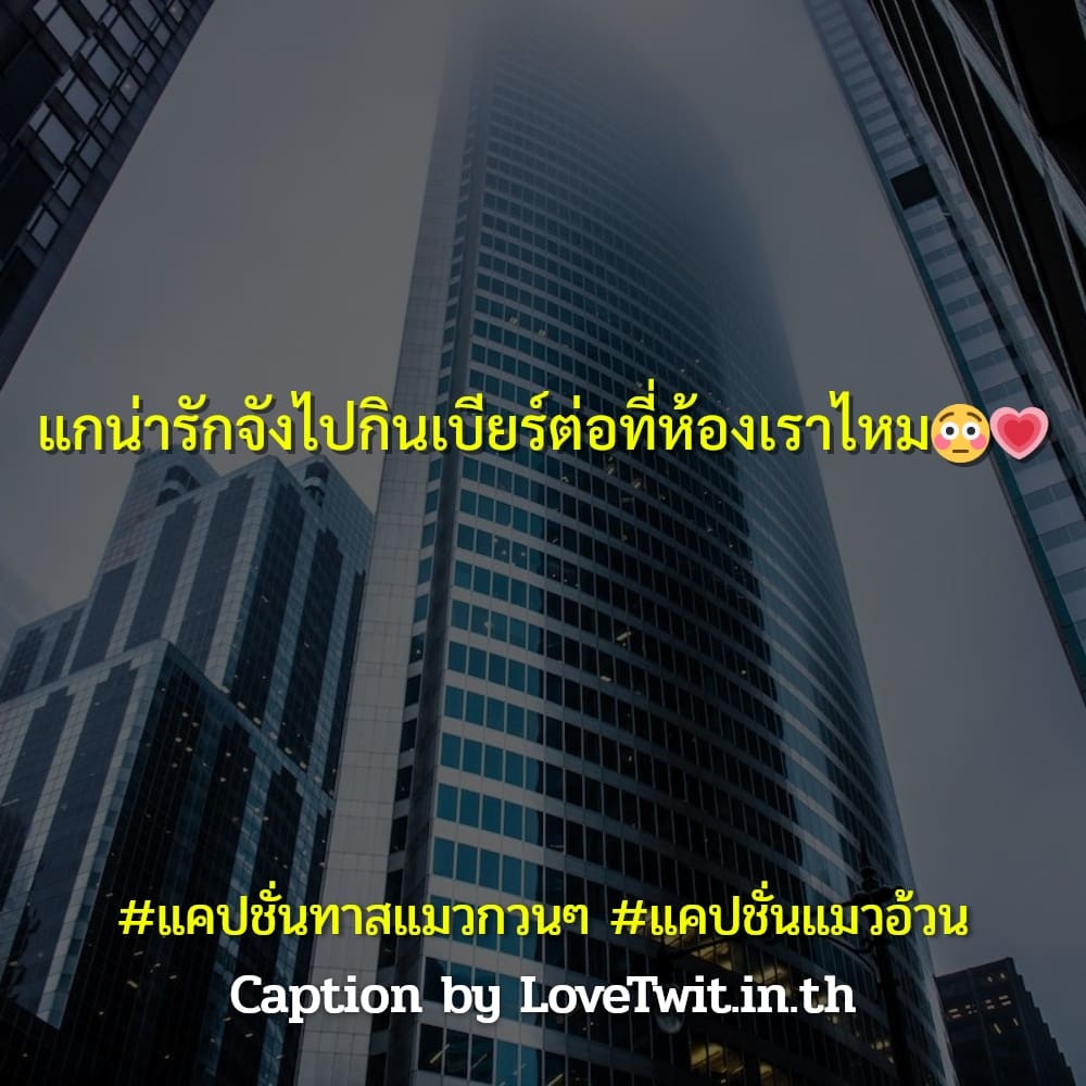 🍎 แคปชั่นคำแมว ไม่โพสต์ได้ไง?