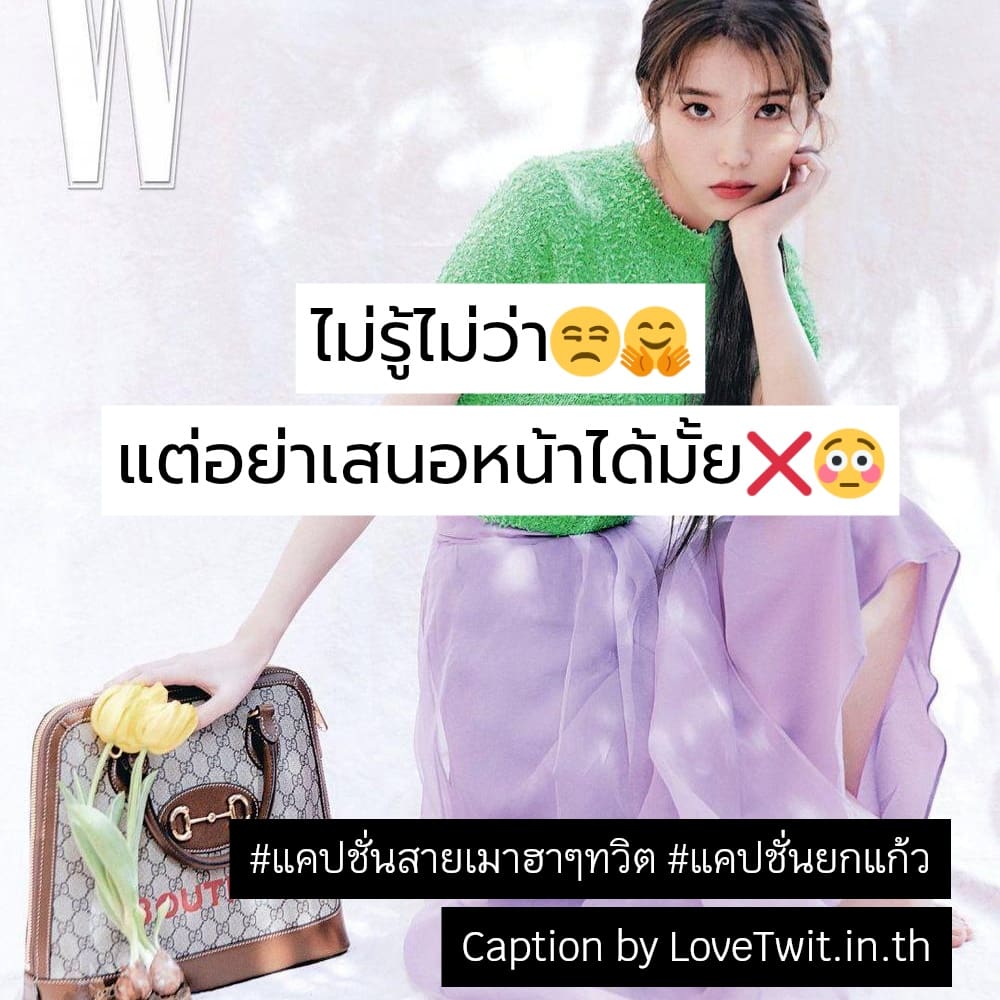 🚌 แคปชั่นเบียร์เย็นๆ จาก Pinterest