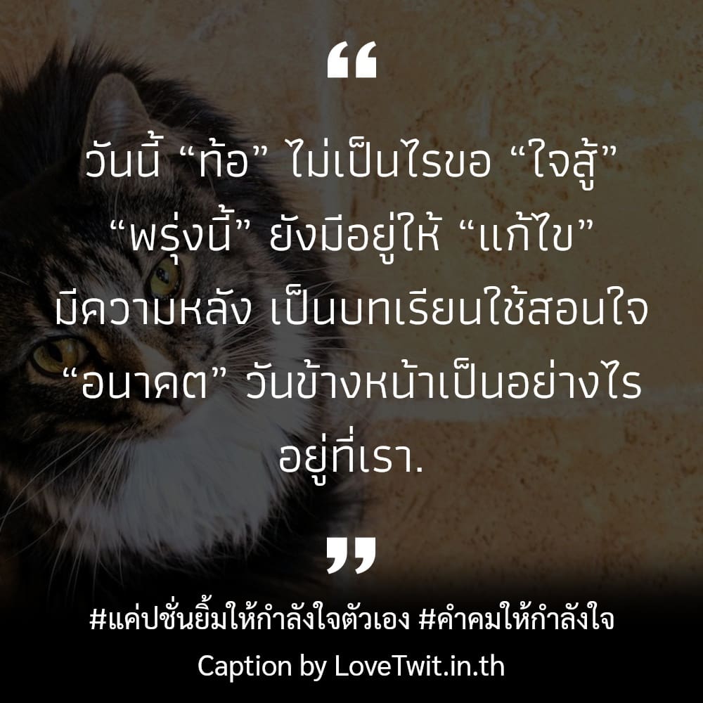 📧 คำคมให้กำลังใจตัวเองภาษาอังกฤษ คำคมแค่ปชั่นยิ้มให้กำลังใจตัวเอง