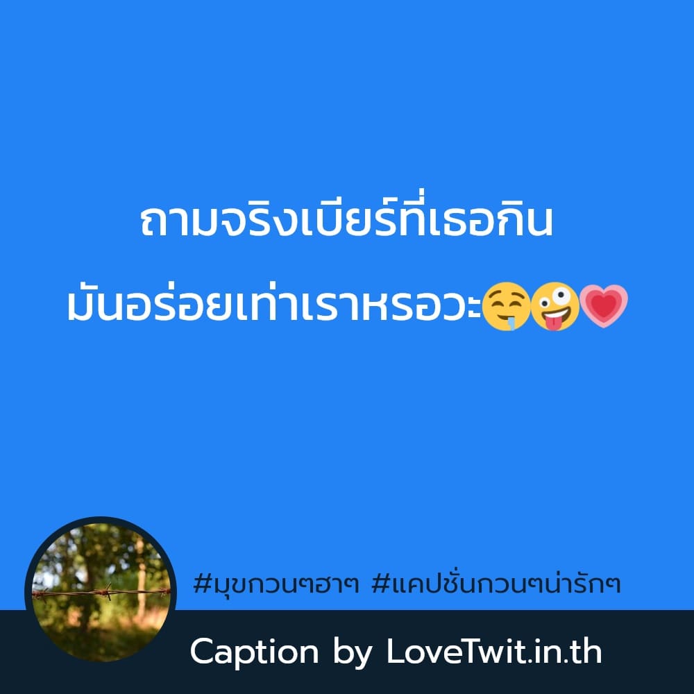 🎌 แคปชั่นมุขกวนๆฮาๆ