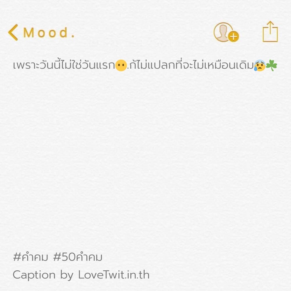 🐙 50คำคม จากชาว IG