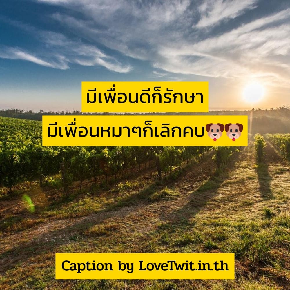 🚄 สเตตัสคําคม18มงกุฎ