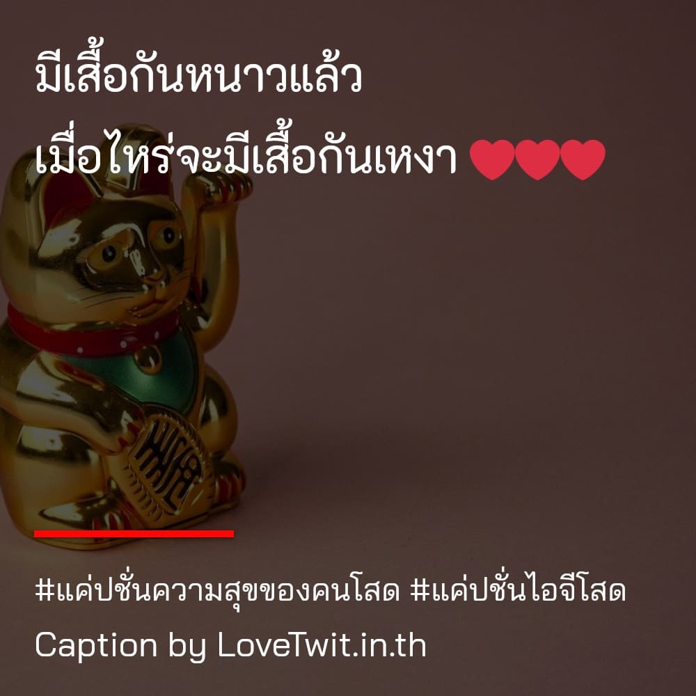 🚱 แคปชั่นโสดลูกติด แคปชั่นโสดลูกติด จากชาว Facebook ไม่แชร์ไม่ได้ละนะ