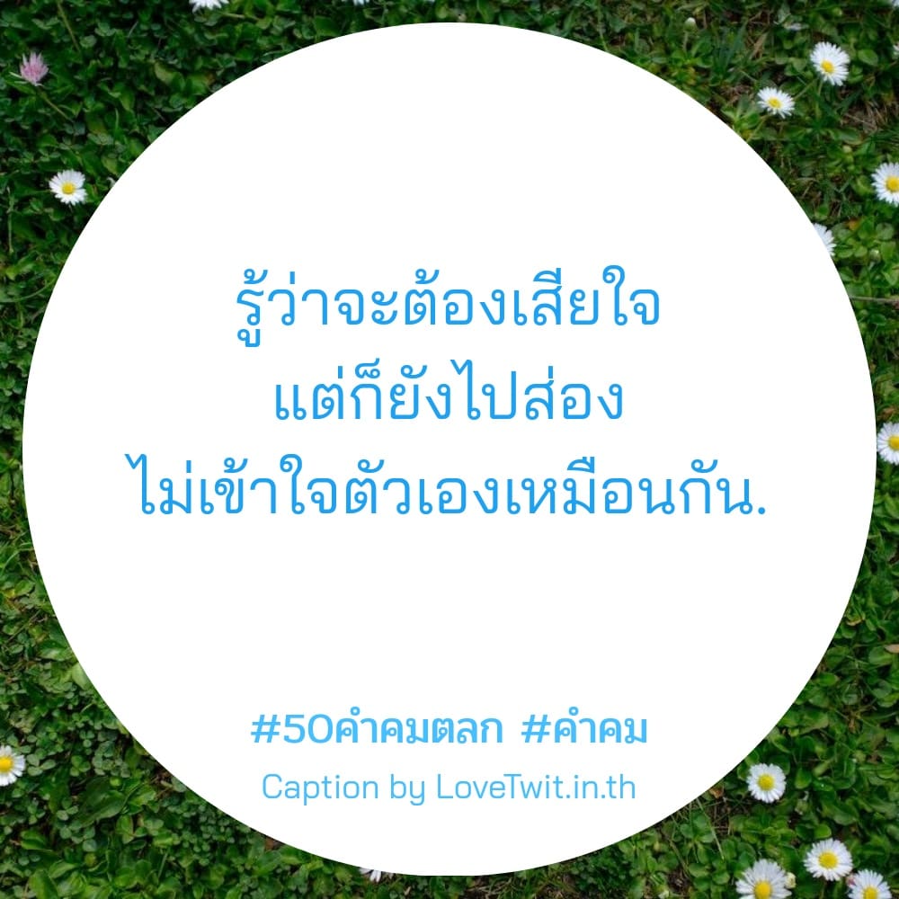 🍖 50คำคมตลก คำคมคําคมสั้นๆความหมายดีๆ