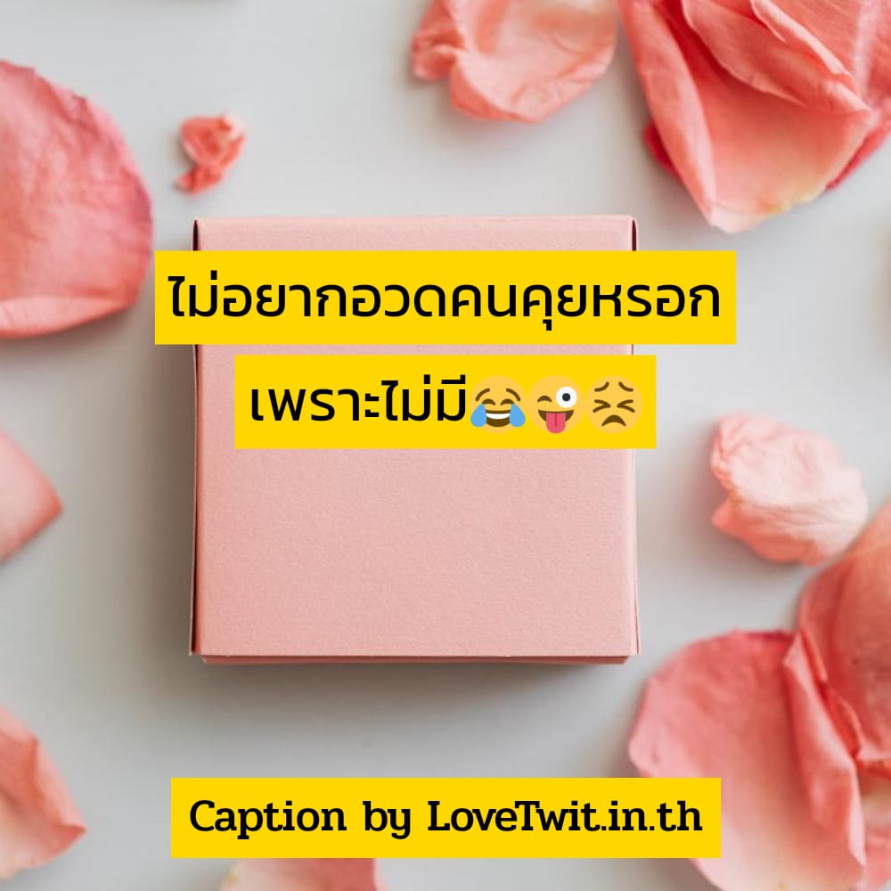 🔅 สเตตัสคําคมกวนๆสั้นๆ ไม่โพสต์ได้ไง?