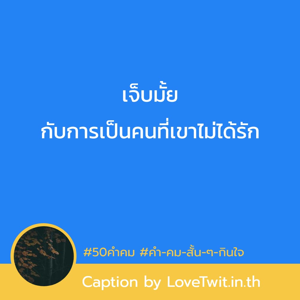 🐯 50คำคม