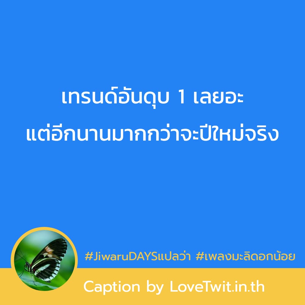 📓 แคปชั่นซีจีเอ็มโฟร์ตีเอตมะลิเนื้อเพลง คำคมสวัสดีปีใหม่2023_mv จากแฟนเพจ