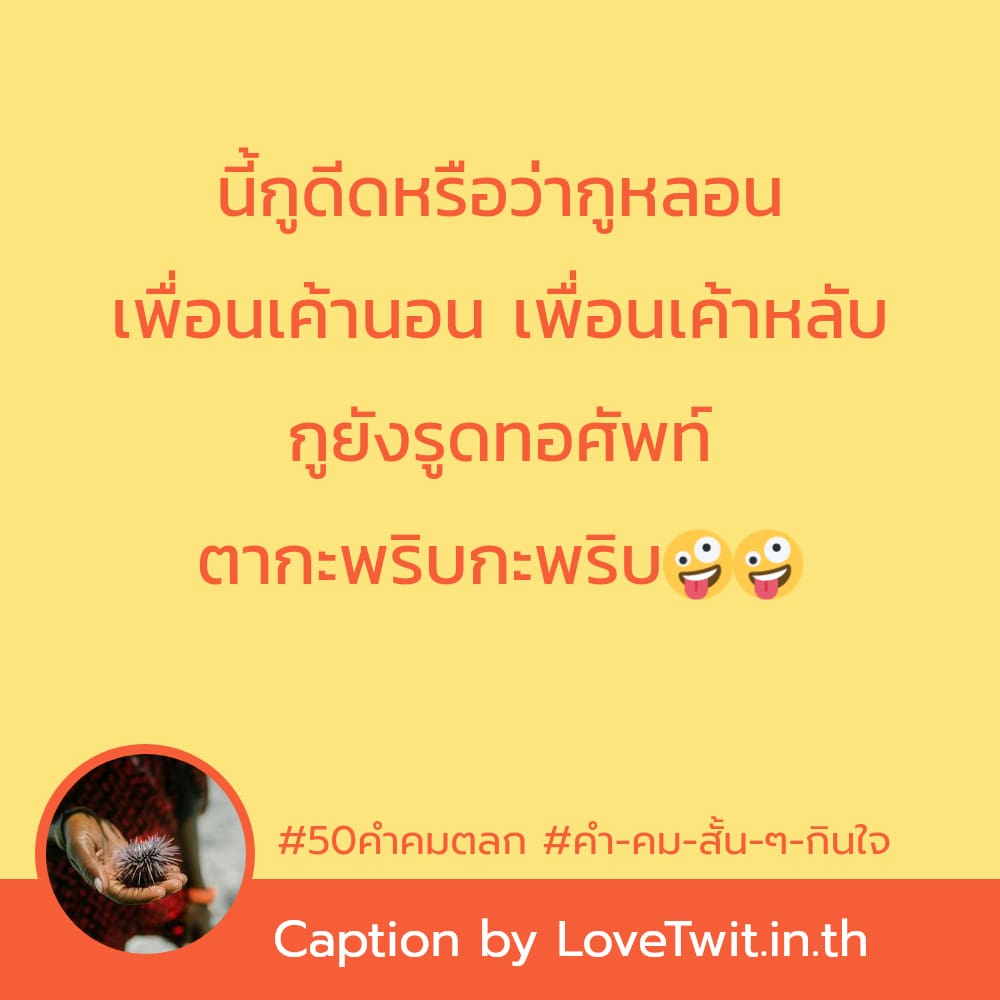 🐯 50คำคม