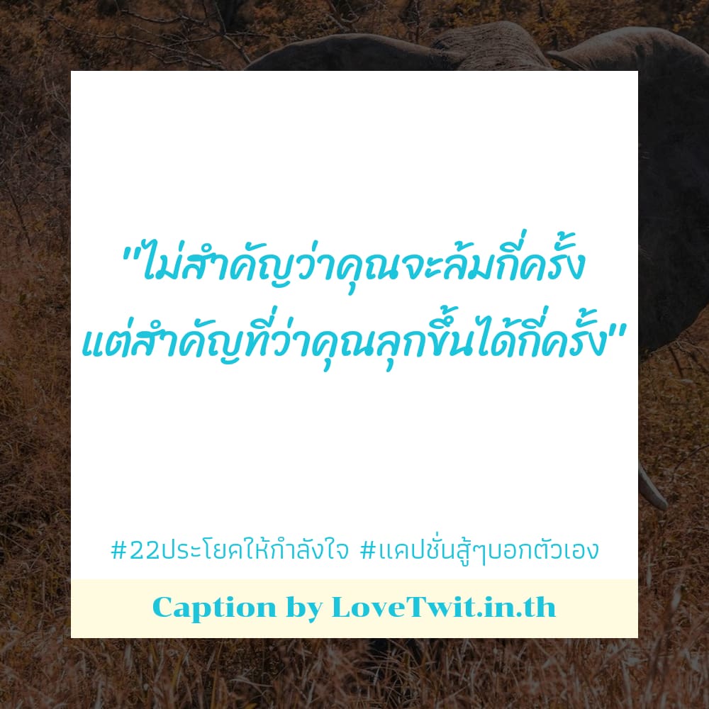 🔊 สเตตัส22ประโยคให้กำลังใจ