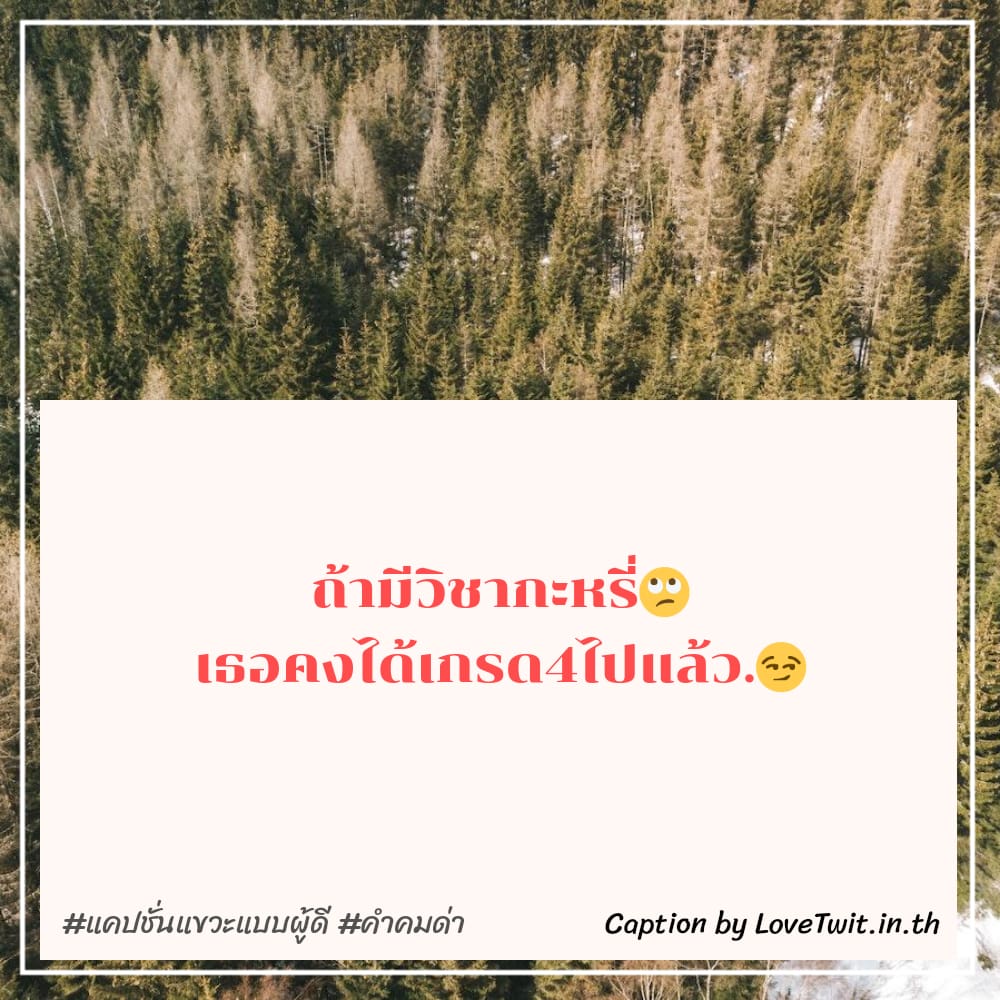 🆘 แคปชั่นด่าแรงๆเจ็บๆ คำคมคําคมด่าผู้ใหญ่ไม่รู้จักโต โคตรเด็ด