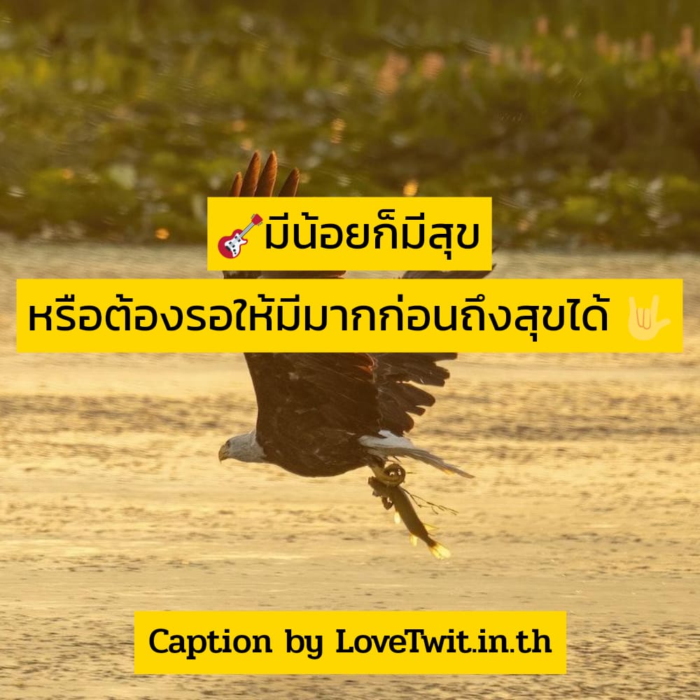 🈳 สเตตัสคําคมสู้ชีวิตคิดบวก สเตตัสคําคมสู้ชีวิตฮาๆ จากชาว IG ตรงกับใครบ้าง