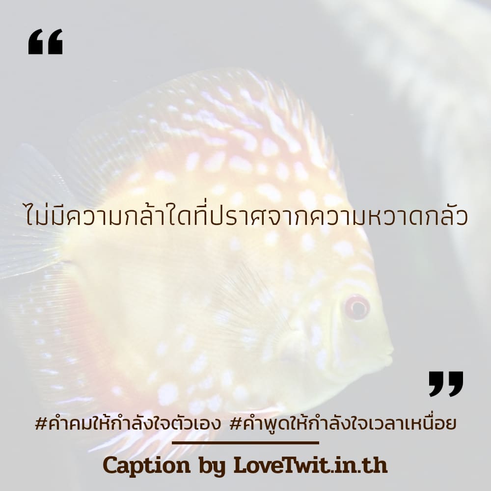 🔊 สเตตัส22ประโยคให้กำลังใจ