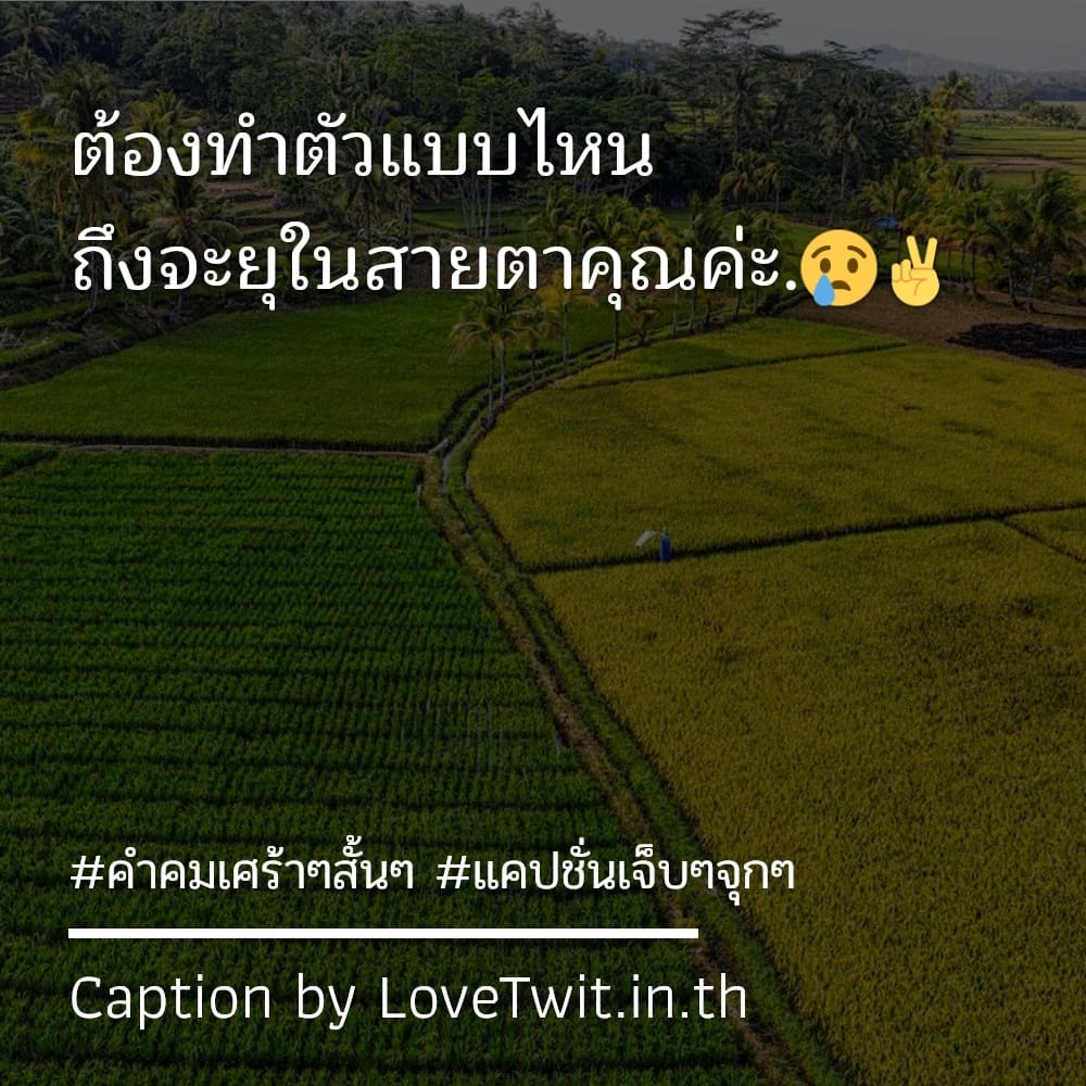 😧 คำคมโดนเท สเตตัสคําคมเศร้าๆสั้นๆ จากชาว Social ฮิตติดเทรนด์