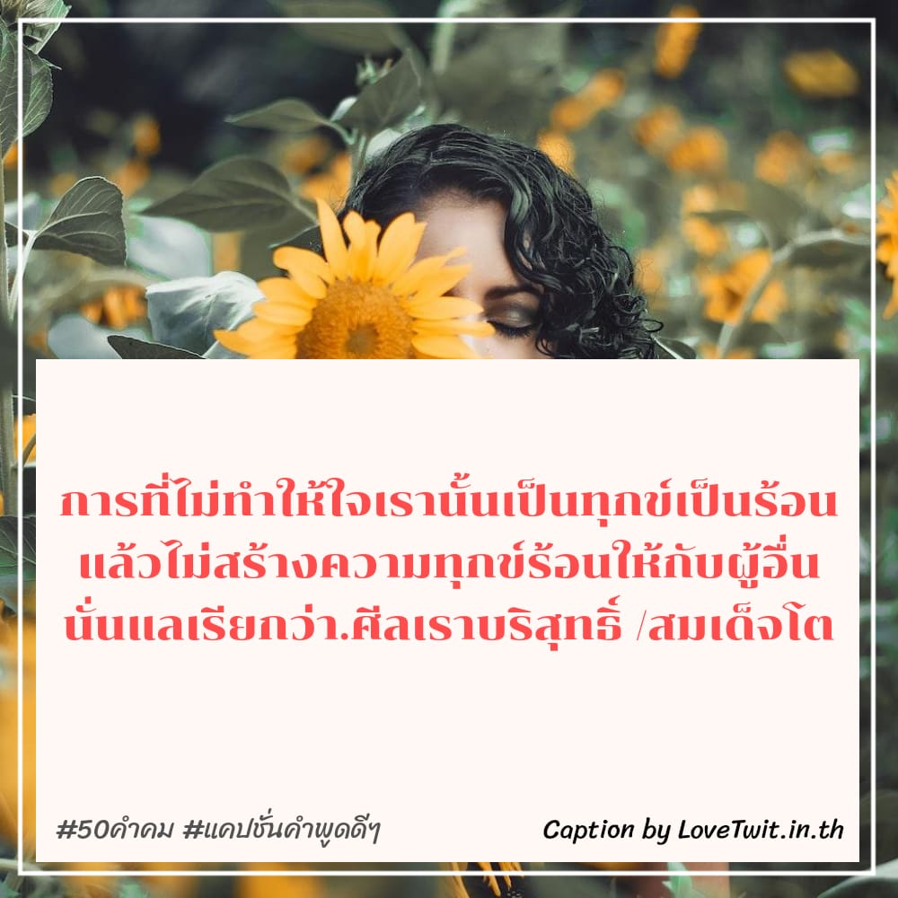 🈳 สเตตัสคําคมสู้ชีวิตคิดบวก สเตตัสคําคมสู้ชีวิตฮาๆ จากชาว IG ตรงกับใครบ้าง