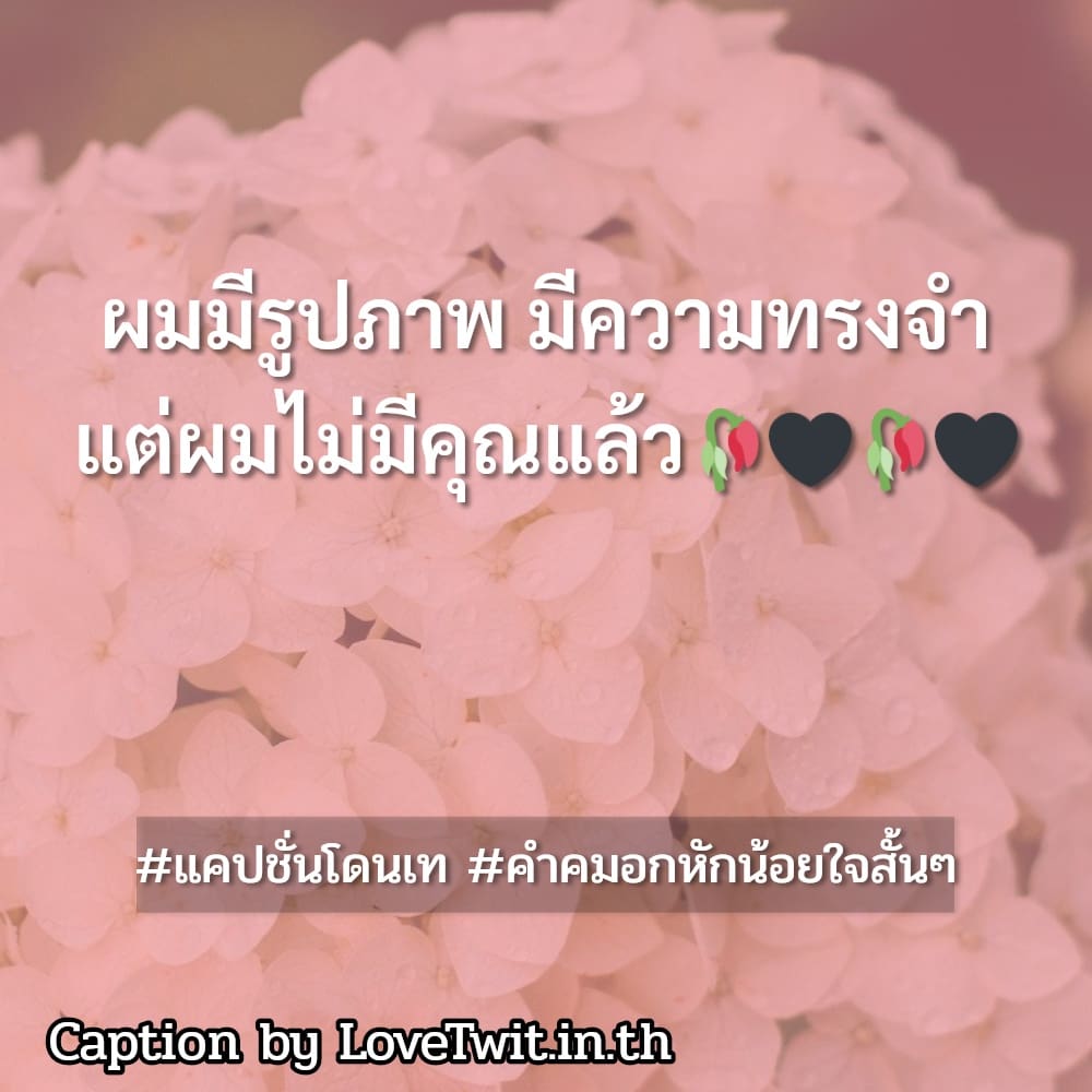 📣 แคปชั่นโดนเท คำคมเจ็บๆเท่ๆ