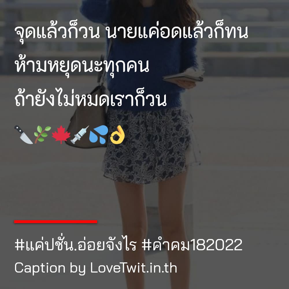 🔅 สเตตัสคําคมกวนๆสั้นๆ ไม่โพสต์ได้ไง?