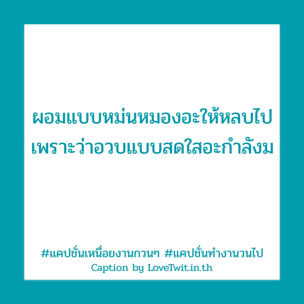 🚠 แคปชั่นทีมงานฮาๆ จาก Social ถูกใจไหม?