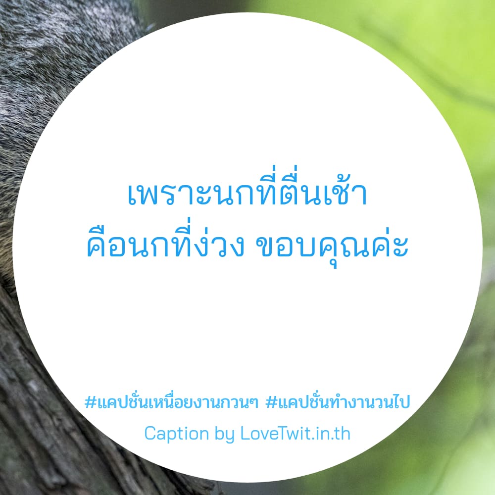 👈 คำคมแค่ปชั่นเลิกงานฮาๆ จากแฟนเพจ