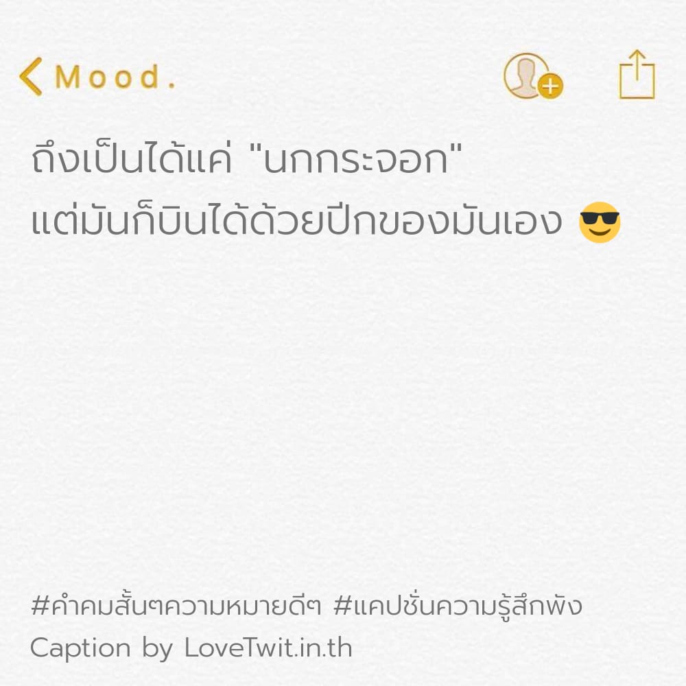 🎏 แคปชั่นเสียใจเสียความรู้สึก