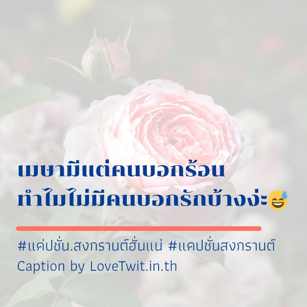 🍒 สเตตัสมุขเสี่ยวสงกรานต์twitter แคปชั่นสงกรานต์ขายของ ตรงไหมลองดู?