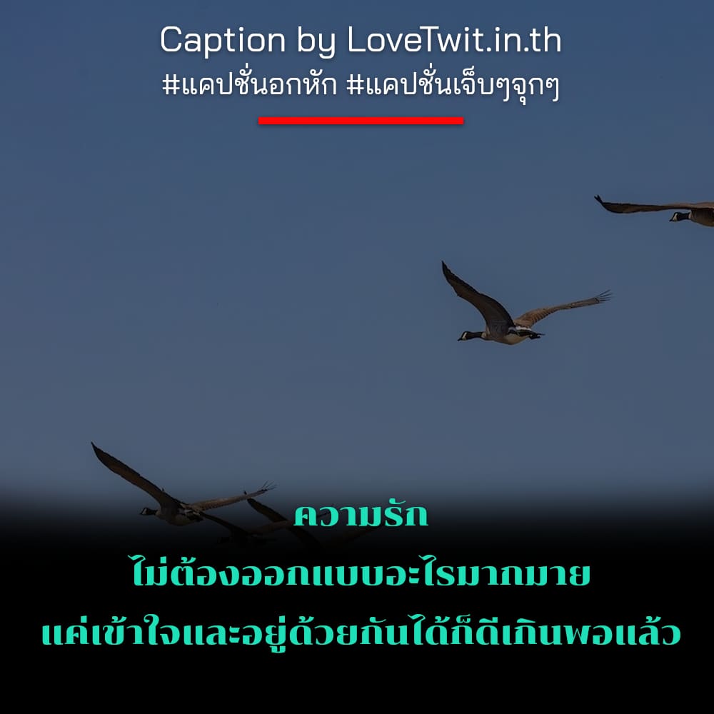 🚒 คำคมโดนเท คำคมเศร้าๆชีวิต เซฟให้ไว!