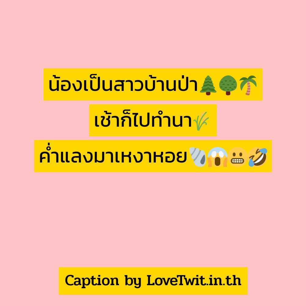 🛁 คำคมคําคมภาษาเหนือกวนๆ