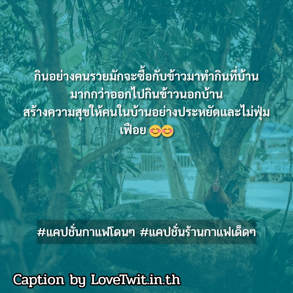 🎍 คำคมคาเฟ่