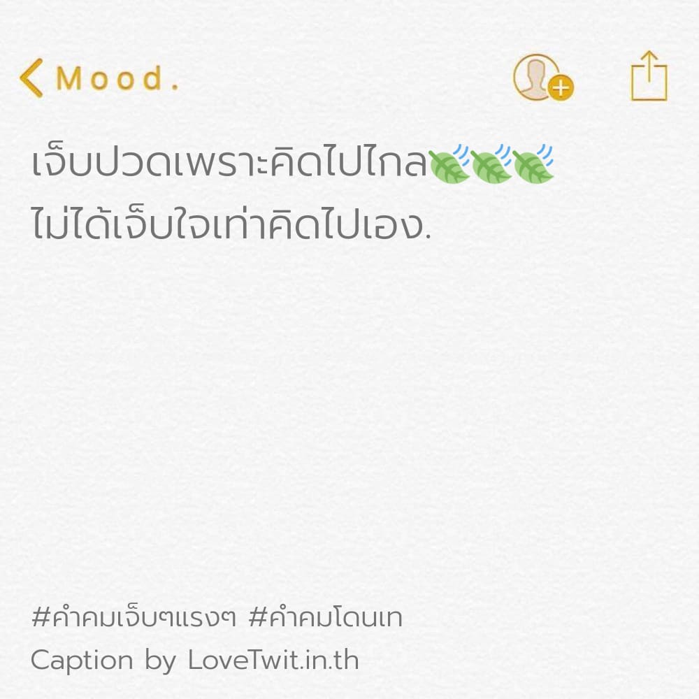 🚒 คำคมโดนเท คำคมเศร้าๆชีวิต เซฟให้ไว!