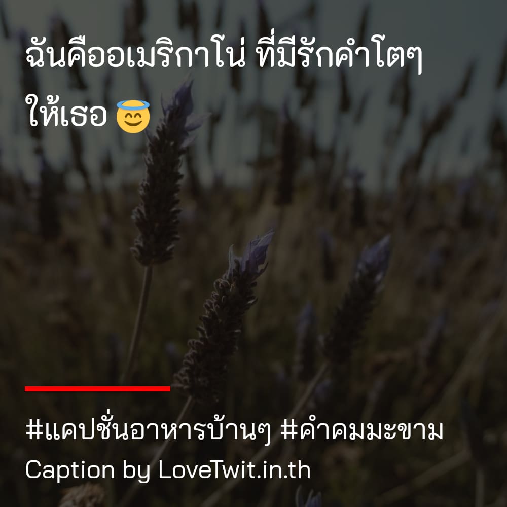 🎑 แคปชั่นแค่ปชั่น.ก๋วยเตี๋ยว