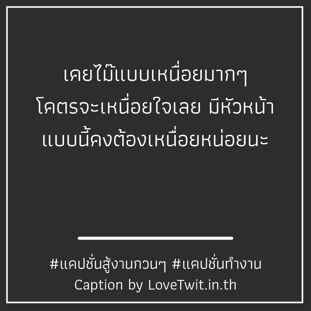 🈸 แคปชั่นทํางานวนไป แคปชั่นทํางานทวิต ไม่แชร์ไม่ได้ละนะ