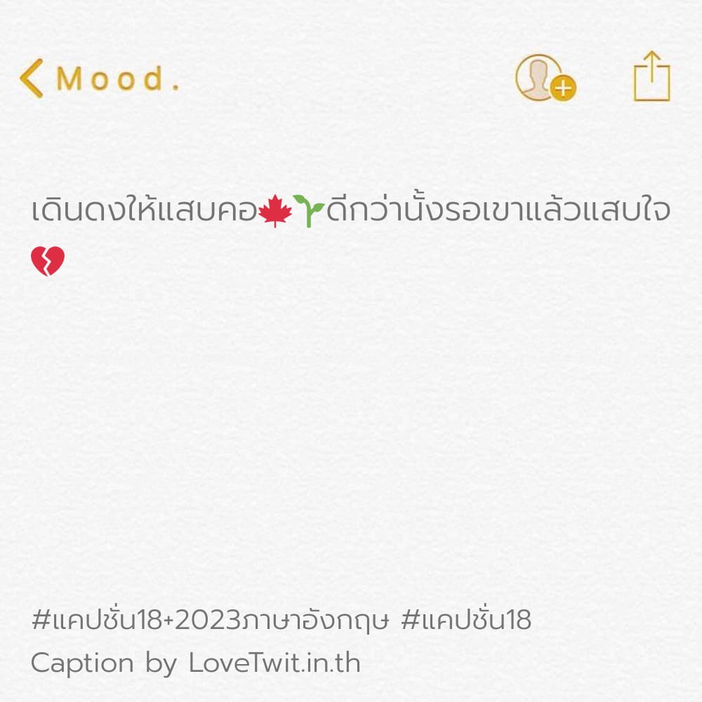 🎱 แคปชั่นทะลึ่งภาษาอังกฤษ จาก IG