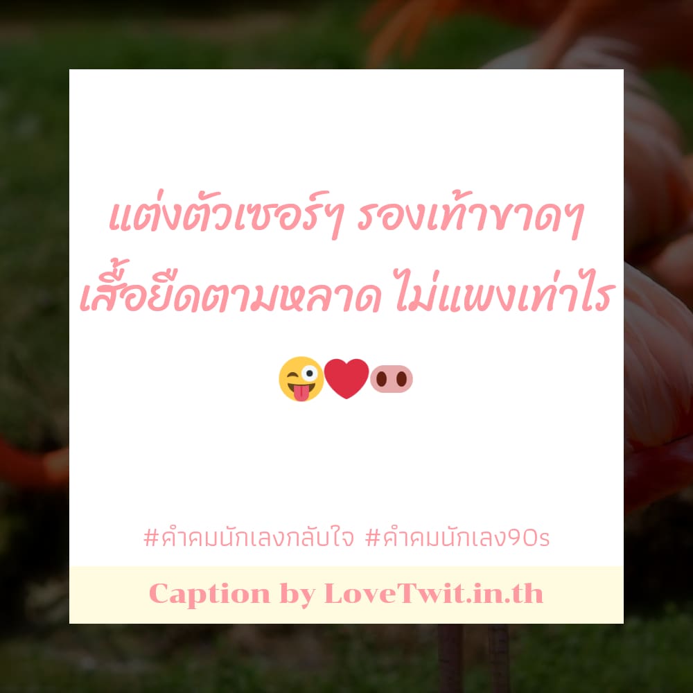 💇 คำคมคําคมนักเลงกลับใจ คำคมแค่ปชั่นนักเลงตรงๆ