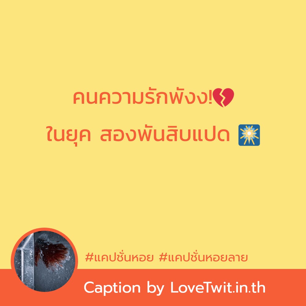 📇 แคปชั่นกินปลาไม่อ้วน จากชาว Twitter